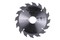 /img/linkpics/3632b.jpg